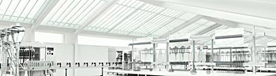 mobile_MiscLandingPageBanners-resized.jpg mobile_MiscLandingPageBanners-resized.jpg
